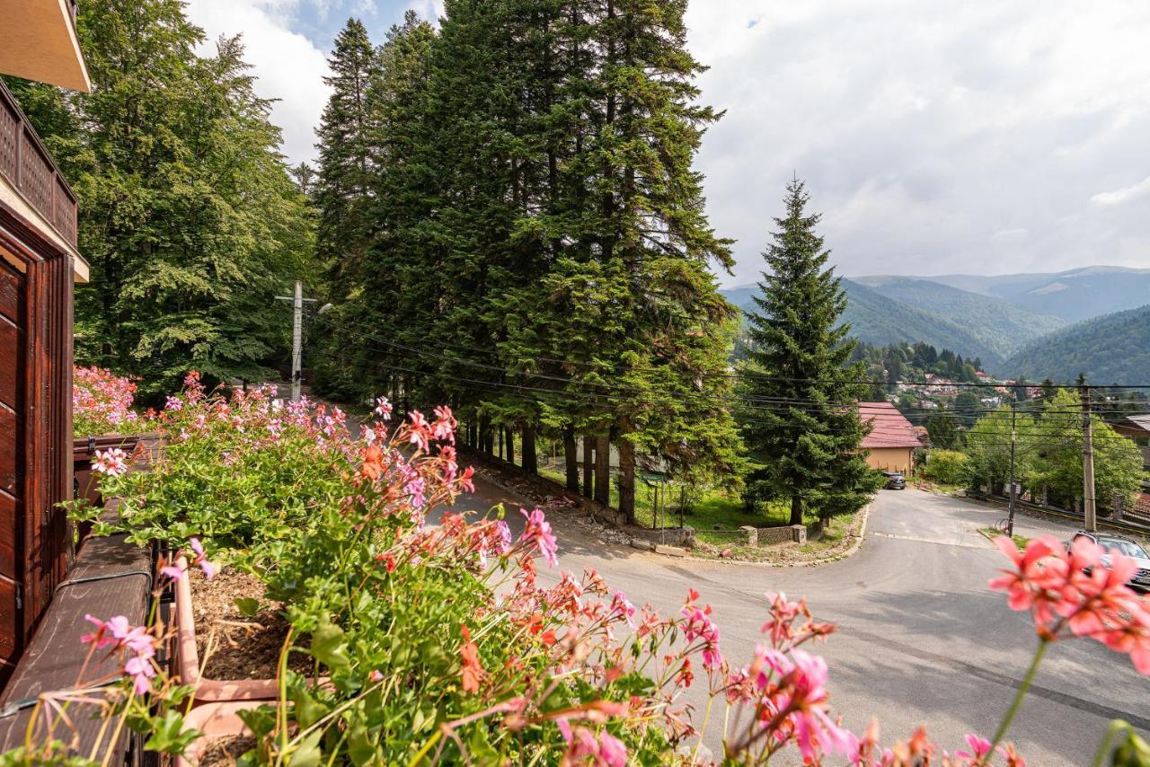 Hotel Regal Sinaia Bagian luar foto