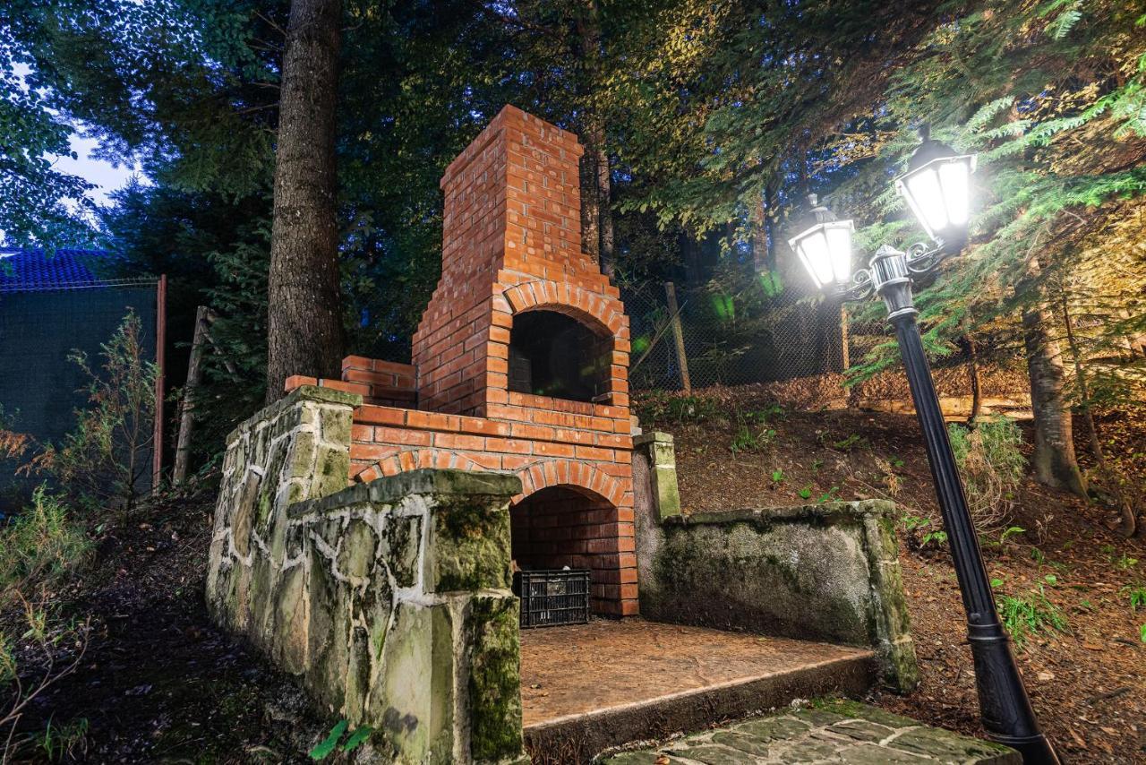 Hotel Regal Sinaia Bagian luar foto